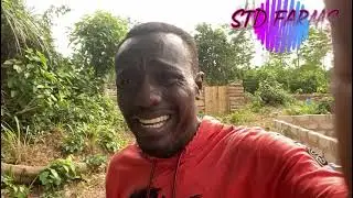 HOW TO START GOAT FARMING IN GHANA