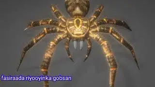 fasirka riyada caara carada