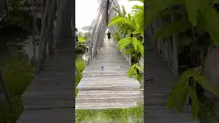 #thailand ⁣#thailandonly #travel #travelthailand #vlog 🇹🇭 #nature