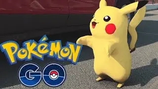 Pokemon GO In Real Life