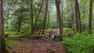 732 Old Barrys Bay Rd, Barry's Bay, ON K0J 1B0, Canada