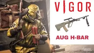 Vigor : The sweaty AUG H-Bar