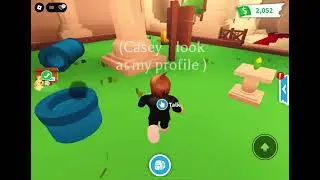 Trying to get the diamond hamster in ADOPT ME(extremely bad luck)￼