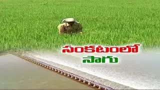 Water Dispute | Krishna Delta Farmers Worried | as Krishna Water Goes Waste into Sea