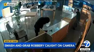 Suspect, Reseda store owner fire pepper spray during robbery