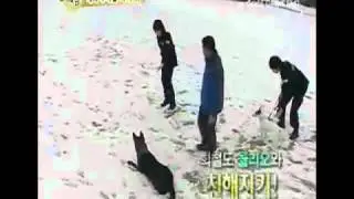 how heechul makes a dog sit