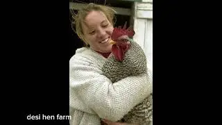 Play mouth rock hen farming.  Hen farming in pakistan. Desi murgi farming . Desi egg. Golden misri 