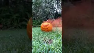 More spooky carved pumpkins! #halloween #shorts
