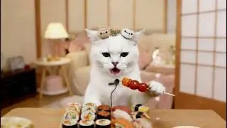 😺 Cute White Cat Sushi Mukbang | Calm & Healing Video