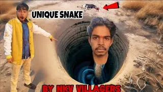 कुएं के अंदर मिला खतरनाक UNIQUE SNAKE 😱 | Village Well Snake Rescue @NKVvillagers 