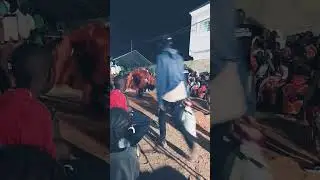 Abuko women's culture Festival