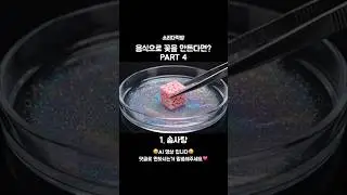 음식으로 꽃을 만든다면? PART 4 #asmr #ai #음식 #꽃 #솜사탕 #팥빙수 #잣 #우유 #얼음 #얼린우유