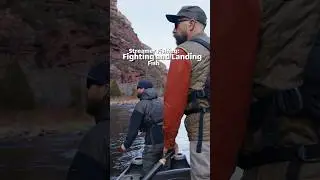 Streamer Fishing - Fighting and Landing Fish