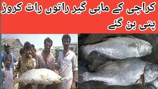 #sowa #croakerfish#ghoalfish#baracuda#arabiansea#indianocean#fish#fisherman#charna