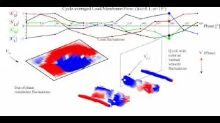 Fluid Structure Interaction: Cycle-averaged loads: By Robert Bleischwitz
