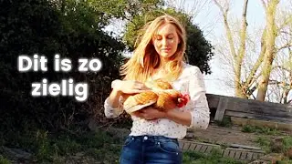 Einde van een tijdperk - dag lieve Hannie 🥺🤍
