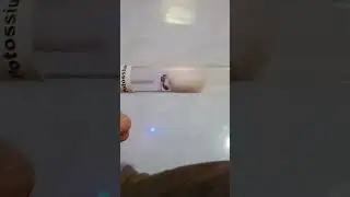 my first queen ant after nuptial flight|queen ant 😱|