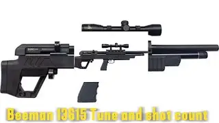 Beeman 13615 Tuned for High shot count