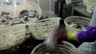 Giant Squid Neck Processing Flow - Kingsun Foods