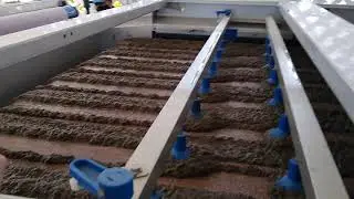 EMO Combined System GBT / BFP - sludge dewatering