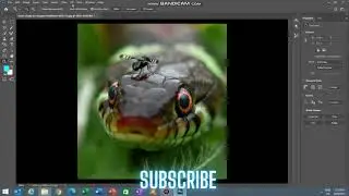 Photoshop Color Grading Tutorial : blue Gray Color Effect Preset - blue grey Preset