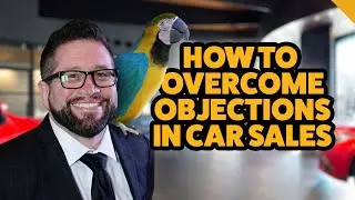 Overcome Objections in Car Sales Like a Pro | Polite Parrot