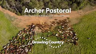 Growing Country Originals - Archer Pastoral - Case Study