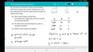 Business Optimization Problem - Parametric technique