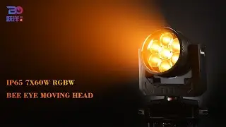 [Beyond Lighting] 760BW IP65 Waterproof 7x60W RGBW 4in1 LED Big Bee Eye WASH Moving Head Light