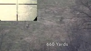 Long Range Whitetail Deer Hunt (6.5 Creedmoor)(690 Yards)