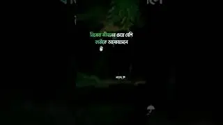 Love Status Video for whatsapp ইমোশনাল কিছু কথা ফেসবুক ক্যাপশন রোমান্টিক সত্যিকারে ভালোবাসা