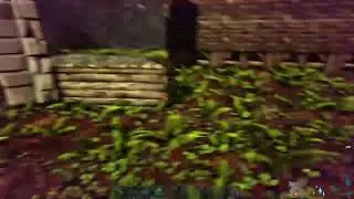 ARK Survival Evolved: Primitive plus RP. Hunting, building, taming, creating dwarf village.