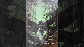 Insecte : Voice ia