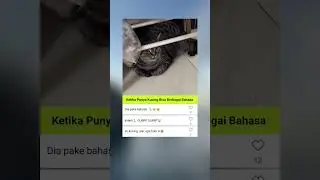 Baru dengar kucing bisa suara begitu 😅 #meme #catmemes