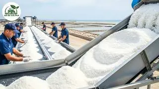 La Sal 🌊 C&oacute;mo se Produce la SAL MARINA - MILLONES de Toneladas desde el MAR hasta tu Mesa🧂