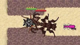 Pocket Ants - Christmas Spider VS Other Creatures