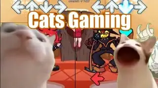 Pop Cat VS Vibing Cat ( Friday Night Funkin ) #11