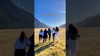 New Zealand is waiting 👀
