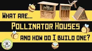 Pollinator Houses: what are they and how to build one!