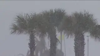 Snow blankets beachfronts across the south
