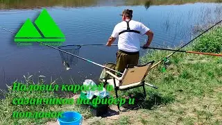 Рыбалка на Цимле, наловил карасей и сазанчиков на фидер и маховую удочку
