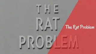 The Rat Problem (1950) CDC and Army rodent control instructional film