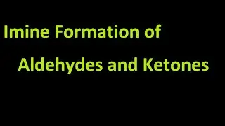 Imine Formation of Aldehydes and Ketones