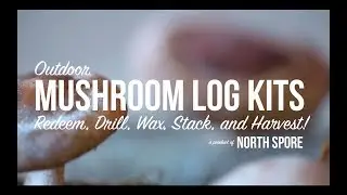 North Spore Outdoor Mushroom Log Kits
