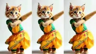 #catvideos #cutecat #catlover #cute #cuteanimal #catdance #funnycats#cutecat #catdanceshow Dancing