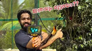 കിളിക്കൂട്ടിൽ ക്യാമറ കേറ്റിവിട്ടപ്പോ കണ്ടത്!! Look what we found!!! keyHole camera