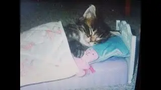 I don't want to wake up..