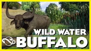WILD WATER BUFFALO HABITAT!!! | Planet Zoo | Panthera Zoo Episode 9 🌲