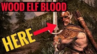 Skyrim REMASTERED - Wood Elf Blood (Where to Harvest - VERY EASY)