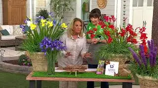 Ultimate Innovations 45-Piece Bulb Cut Flower Collection on QVC